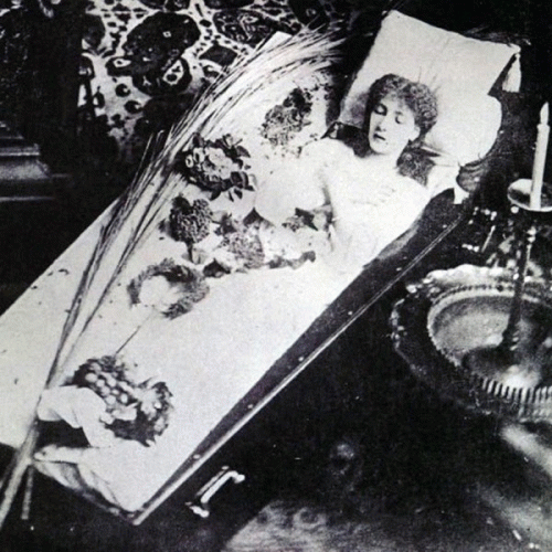 Exsanguination (of the Human Race)